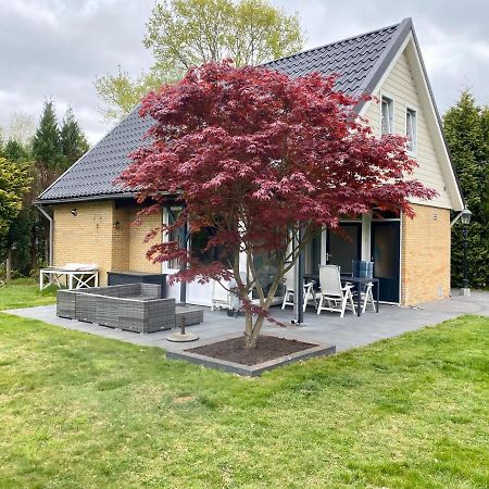 La Casa De Gasselte, Een Gezellig Ruim Huis In Drenthe Pal Naast Het Bos 外观 照片
